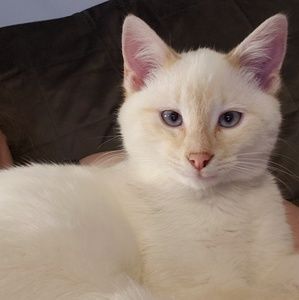 Meet your Posher, Sherry